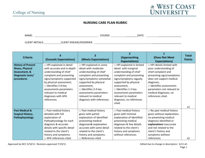 Infant rsv nursing care plan