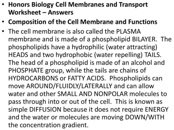 Cell transport task cards answer key