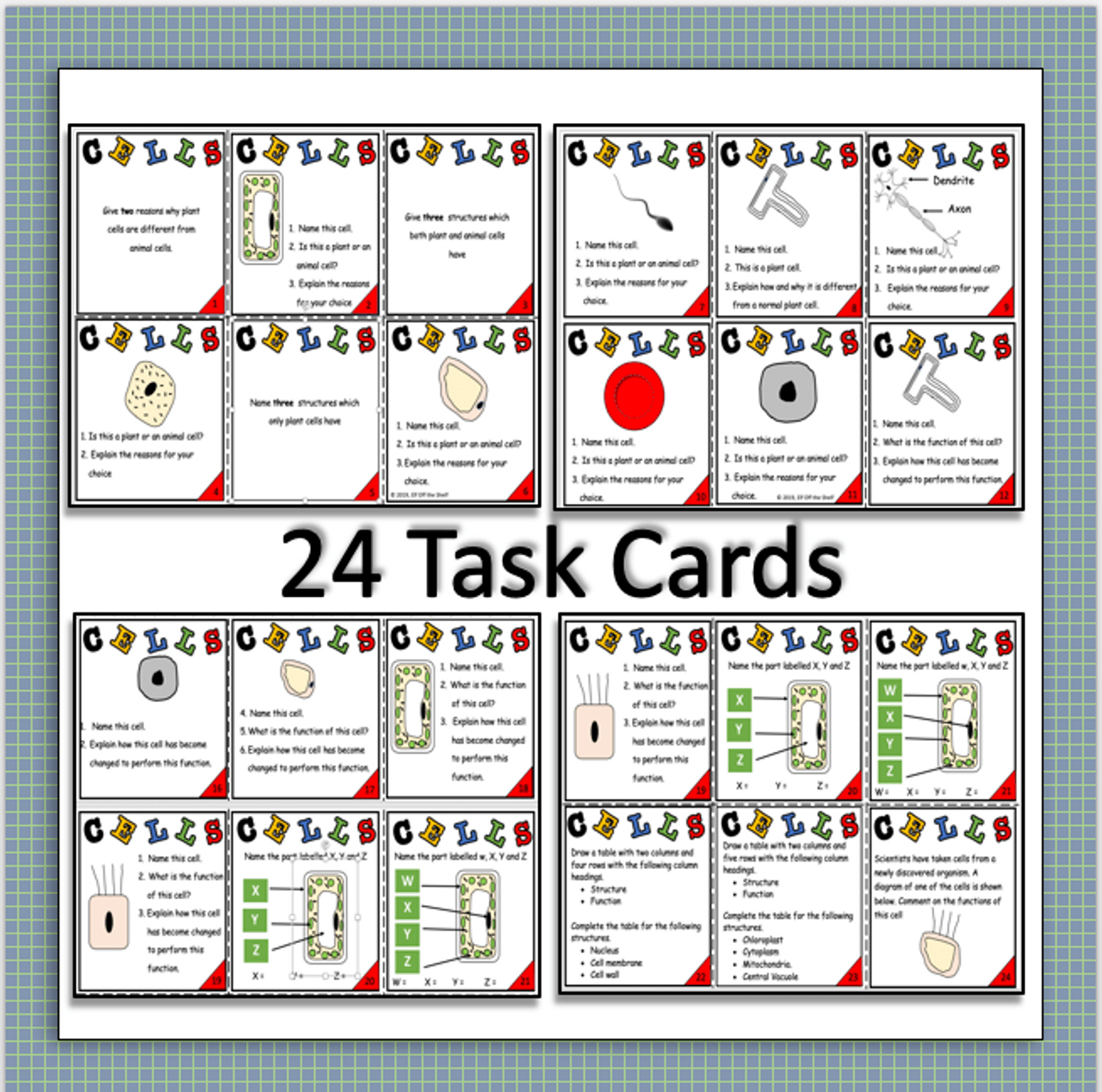 Cell transport task cards answer key