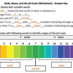 Acids and bases worksheet with answers pdf