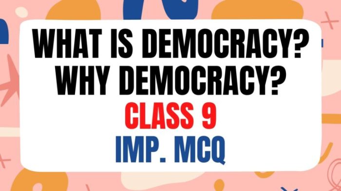 Dilemmas of democracy kaatz pls 101 mcq