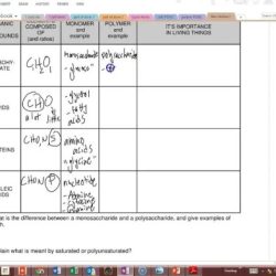 Biomolecules on the menu answer key