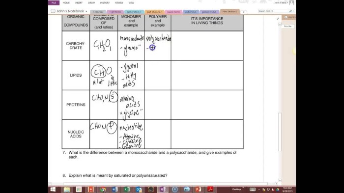 Biomolecules on the menu answer key