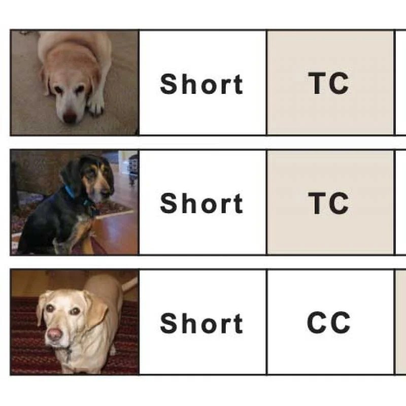 Mapping genes to traits in dogs using snps