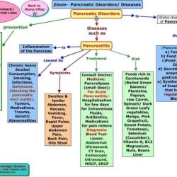 Nurse logic 2.0 nursing concepts