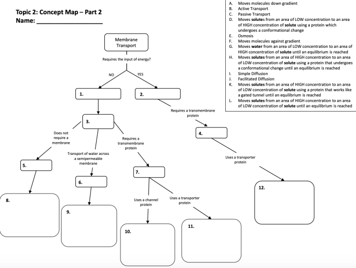 Membrane transport concept map answer key