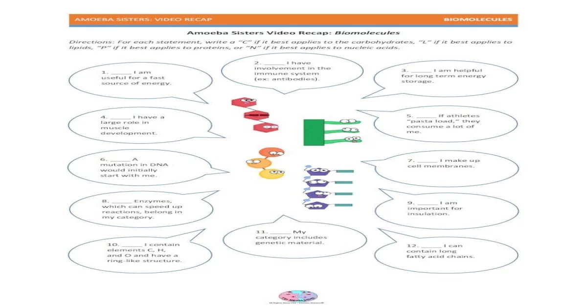 Biomolecules on the menu answer key