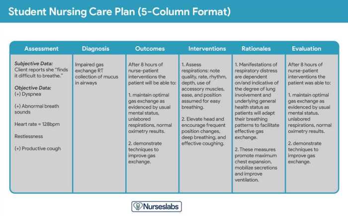 Nurse logic 2.0 nursing concepts