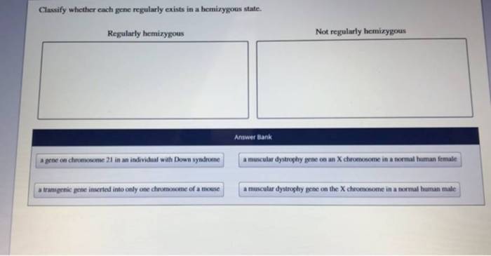 Classify whether each gene regularly exists in a hemizygous state