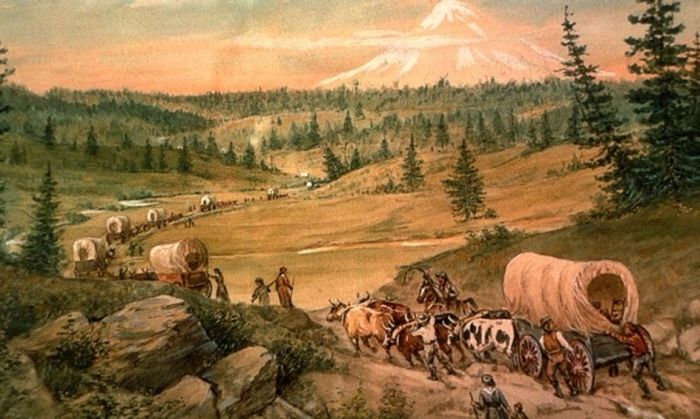 Westward expansion and the american indian quick check