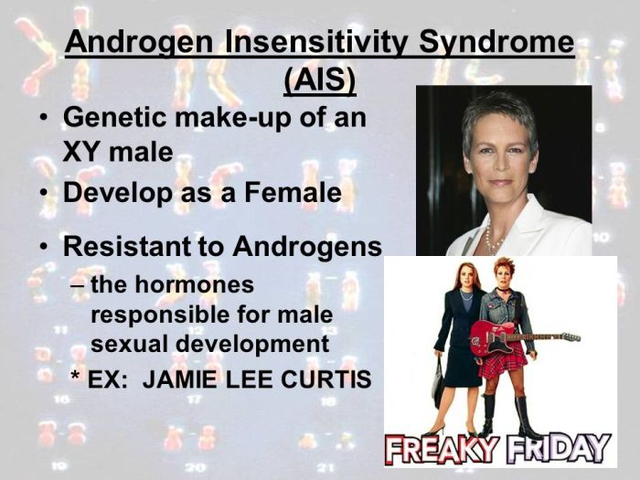 Insensitivity syndrome androgen feminization receptor gene