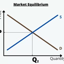 Changes in market equilibrium worksheet answers