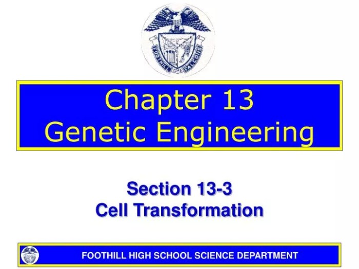 13 engineering genetic guide study chapter biology slideshare chp