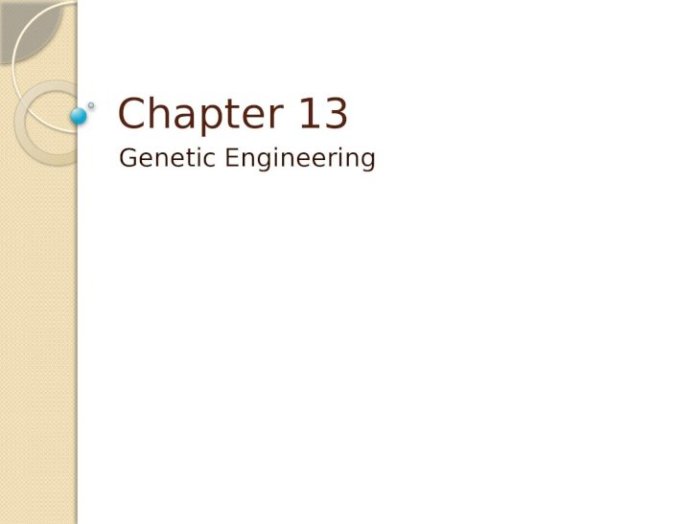 Chapter 13 genetic engineering chapter vocabulary review