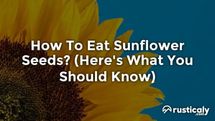 Food guides usually classify sunflower and other seeds in the