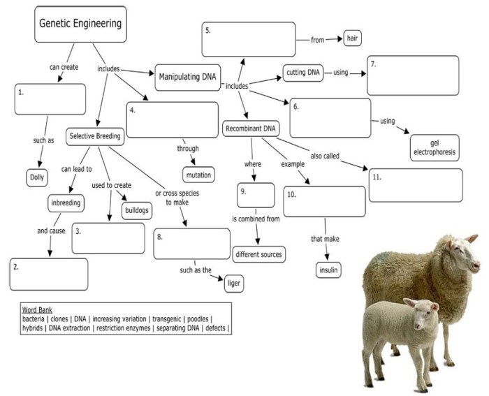 Genetic pptx